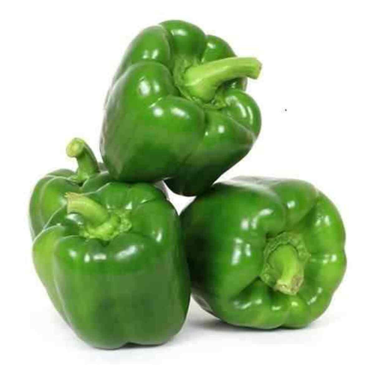 Capsicum शिमला मिर्च